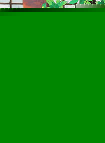 һ·ϻ